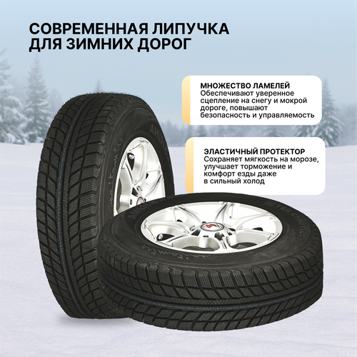 Шина зимняя БЕЛШИНА Бел-337 Artmotion Snow 195/65R15 91T, изображение