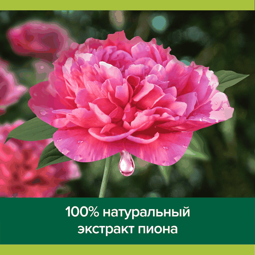 Гель для душа PALMOLIVE Роскошь масел с маслом макадамии и экстрактом пиона, 750мл, вид