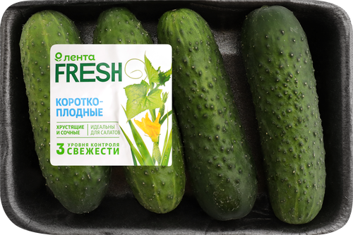 Огурцы короткоплодные колючие ЛЕНТА FRESH, 450г, крупный план
