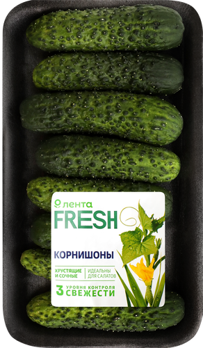 Огурцы корнишоны ЛЕНТА FRESH, 300г, детальное фото