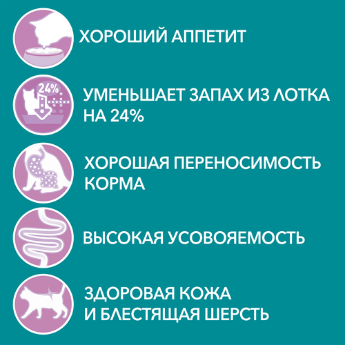 Корм влажный для взрослых кошек PURINA ONE Чувствительное пищеварение Курица и морковь, 75г, детальное фото