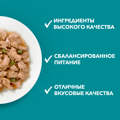 Корм влажный для взрослых кошек PURINA ONE Чувствительное пищеварение Курица и морковь, 75г, крупный план