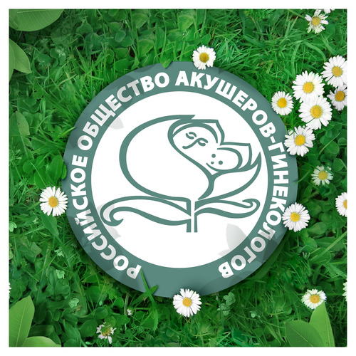 Прокладки NATURELLA Classic Maxi ароматизированные, с крылышками, 7шт, вид