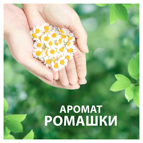 Прокладки NATURELLA Classic Maxi ароматизированные, с крылышками, 7шт, фотография