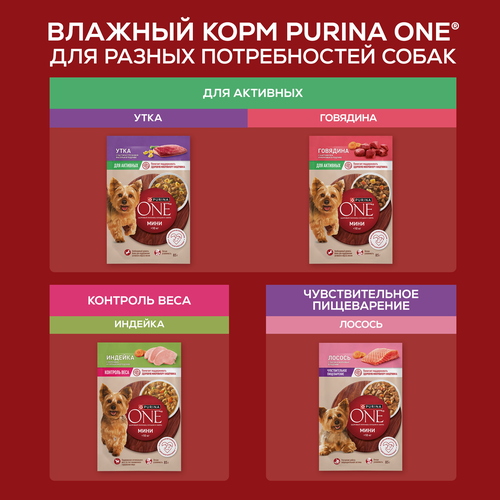 Корм влажный для взрослых собак PURINA ONE Мини для мелких и карликовых пород с чувствительным пищеварением, с лососем, рисом и морковью в подливе, 85г, фото