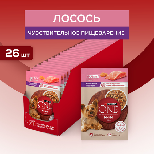 Корм влажный для взрослых собак PURINA ONE Мини для мелких и карликовых пород с чувствительным пищеварением, с лососем, рисом и морковью в подливе, 85г, крупный план