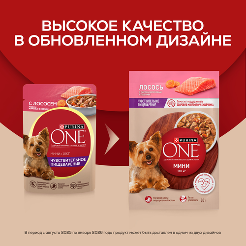 Корм влажный для взрослых собак PURINA ONE Мини для мелких и карликовых пород с чувствительным пищеварением, с лососем, рисом и морковью в подливе, 85г, крупный план