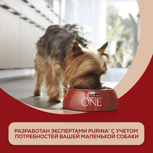 Корм влажный для взрослых собак PURINA ONE Мини Контроль веса мелких&nbsp;и карликовых пород с низкой физической активностью или стерилизованных,&nbsp;с индейкой, морковью и&nbsp;горошком в подливе, 85г, вид