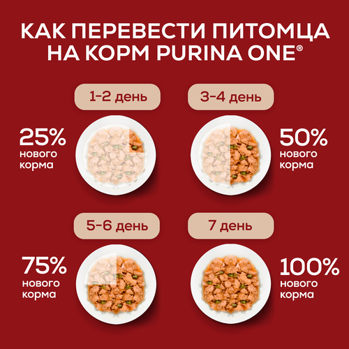 Корм влажный для взрослых собак PURINA ONE Мини для мелких и карликовых пород с активным образом жизни, с уткой, пастой и стручковой фасолью в подливе, 85г, изображение