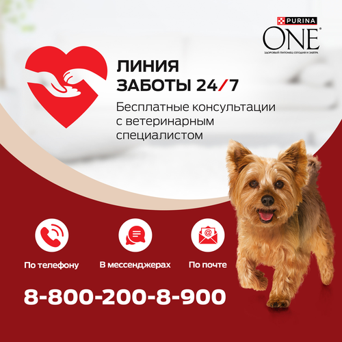 Корм влажный для взрослых собак PURINA ONE Мини для мелких и карликовых пород с активным образом жизни, с уткой, пастой и стручковой фасолью в подливе, 85г, вид