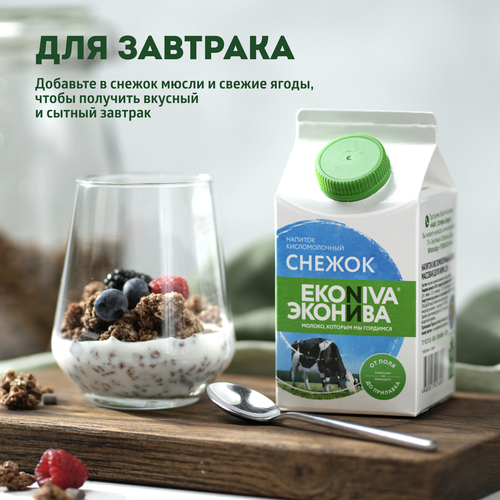 Снежок ЭКОНИВА 2,5%, без змж, 500мл, детальное фото