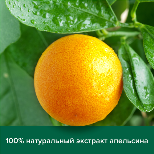 Гель-крем для душа PALMOLIVE Натурэль Мандарин и витамин С с увлажняющим молочком, 750мл, детальное фото