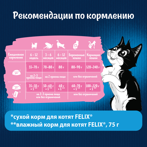Корм сухой для котят FELIX Двойная вкуснятина, с курочкой 600г, фото