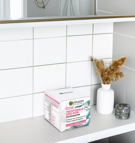 Крем для лица GARNIER Skin Naturals Алоэ гиалуроновый, для сухой и чувствительной кожи, 50мл, картинка