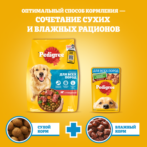 Корм консервированный для взрослых собак PEDIGREE с кроликом и индейкой в соусе, для всех пород, 85г, детальное фото