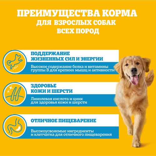 Корм консервированный для взрослых собак PEDIGREE с кроликом и индейкой в соусе, для всех пород, 85г, крупный план