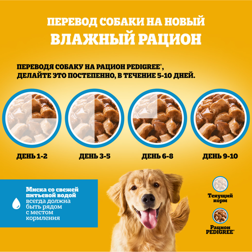 Корм консервированный для взрослых собак PEDIGREE с кроликом и индейкой в соусе, для всех пород, 85г, фотография
