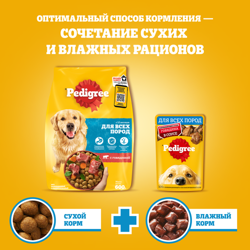Корм консервированный для взрослых собак PEDIGREE с говядиной в соусе, для всех пород, 85г, крупный план