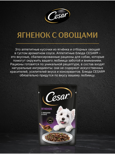Корм влажный для взрослых собак CESAR с ягненком и овощами в соусе, 85г, вид