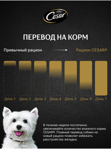 Корм влажный для взрослых собак CESAR жаркое с уткой в желе, 85г, фото