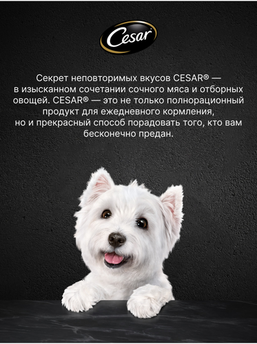 Корм влажный для взрослых собак CESAR жаркое с уткой в желе, 85г, фото