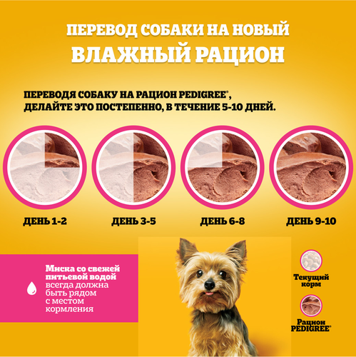 Корм консервированный для взрослых собак PEDIGREE паштет с говядиной, для миниатюрных пород, 80г, картинка