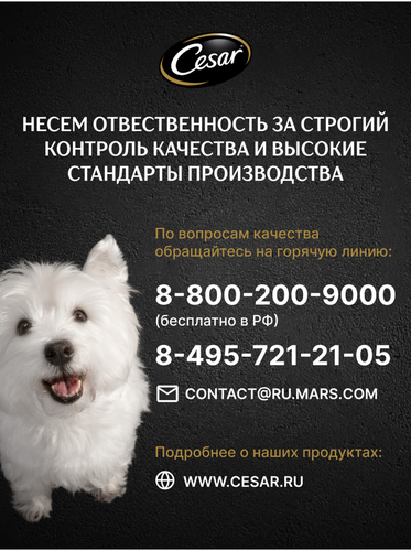 Корм влажный для взрослых собак CESAR с курицей и зелеными овощами в соусе, 85г, вид