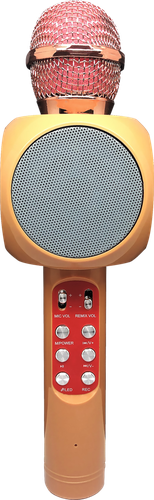 Микрофон для караоке LENTEL C-BKQ20, вид