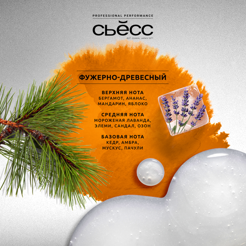 Шампунь для нормальных волос мужской СЬĔСС Men Power, 450мл, фотография