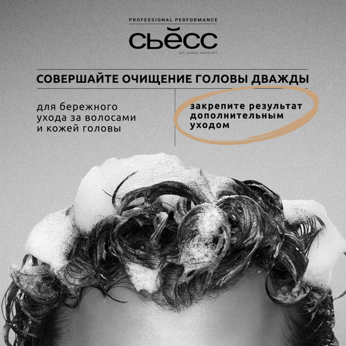 Шампунь для нормальных волос мужской СЬĔСС Men Control&Care 2в1, 450мл, картинка