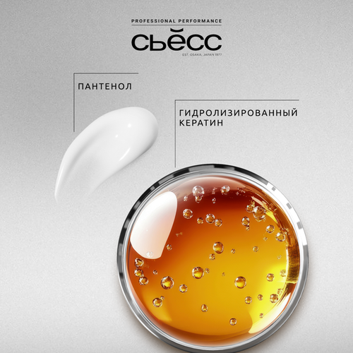 Шампунь для нормальных волос мужской СЬĔСС Men Control&Care 2в1, 450мл, изображение
