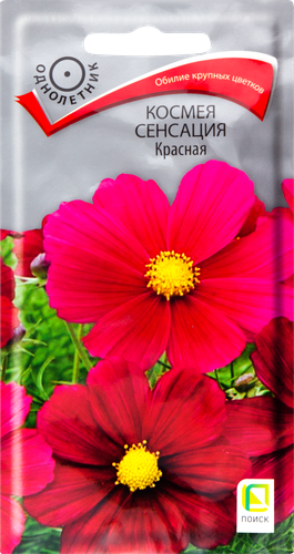 Семена ЦВЕТЫ ЦВ Космея Сенсация, красная, 0,3г, вид