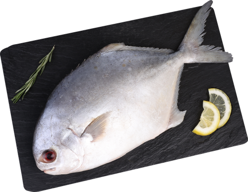 Помпано непотрошеная с головой (из замороженного сырья) ЛЕНТА FRESH, весовая, изображение