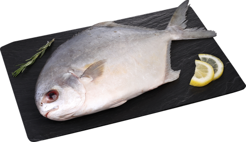 Помпано непотрошеная с головой (из замороженного сырья) ЛЕНТА FRESH, весовая, изображение