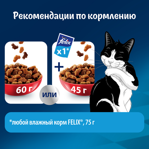 Корм сухой для взрослых кошек FELIX Мясное объедение Говядина, 600г, детальное фото