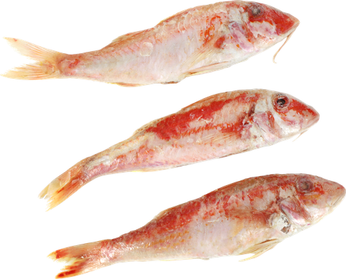 Барабулька непотрошеная с головой (из замороженного сырья) ЛЕНТА FRESH, весовая, картинка