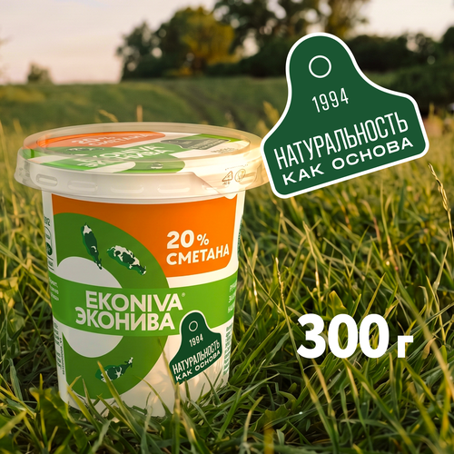 Сметана ЭКОНИВА 20%, без змж, 300г, крупный план