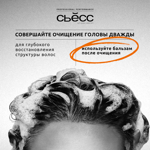 Шампунь для сухих, поврежденных волос СЬĔСС Repair, 450мл, фото