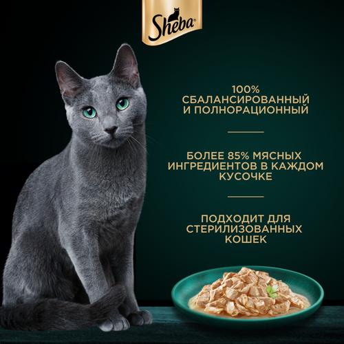 Корм консервированный для взрослых кошек SHEBA Craft Collection Курица в соусе, сочные слайсы, 75г, фото