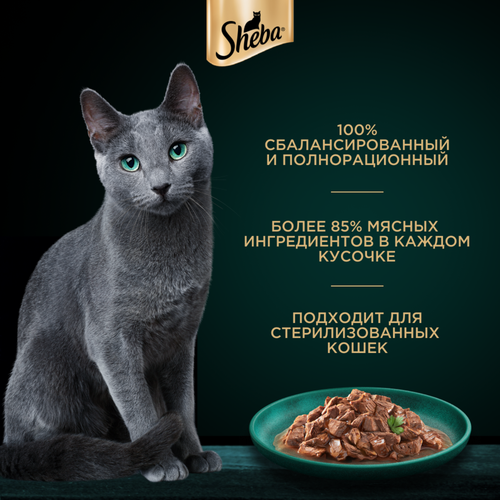 Корм консервированный для взрослых кошек SHEBA Craft Collection Говядина в соусе, рубленые кусочки, 75г, детальное фото