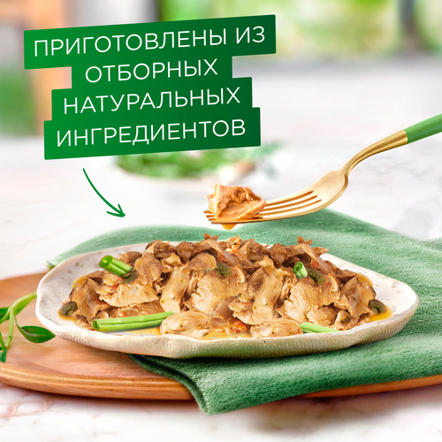 Корм влажный для взрослых кошек ГУРМЭ Натуральные рецепты, лосось-гриль с зеленой фасолью, 75г, детальное фото