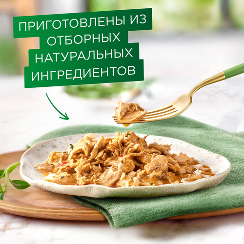 Корм влажный для взрослых кошек ГУРМЭ Натуральные рецепты, лосось-гриль с зеленой фасолью, 75г, детальное фото