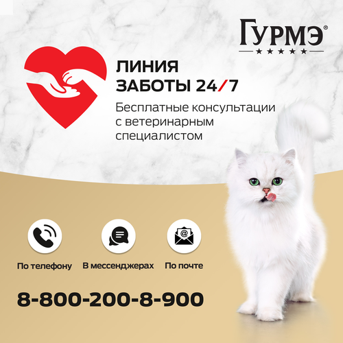 Корм влажный для взрослых кошек ГУРМЭ Натуральные рецепты, лосось-гриль с зеленой фасолью, 75г, изображение