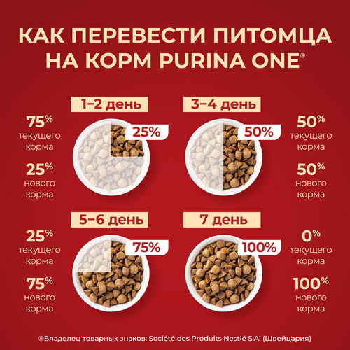 Корм сухой для взрослых собак PURINA ONE Мини, со вкусом говядины, 1,5кг, картинка