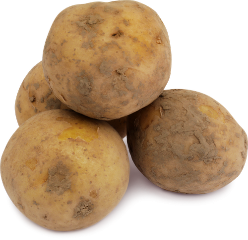 Картофель белый новый урожай, фасованный, весовой, изображение