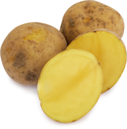 Картофель белый новый урожай, фасованный, весовой, детальное фото