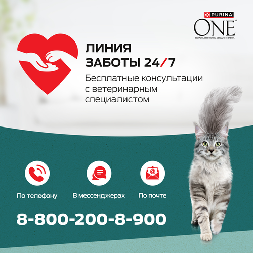 Корм сухой для взрослых кошек PURINA ONE Природа здоровья со спирулиной, с высоким содержанием индейки, 680г, вид