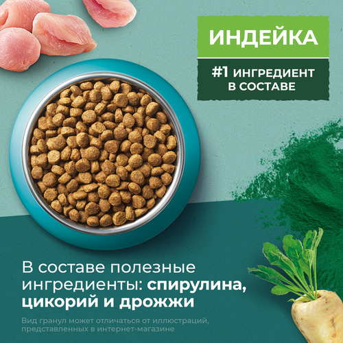 Корм сухой для взрослых кошек PURINA ONE Природа здоровья со спирулиной, с высоким содержанием индейки, 680г, картинка