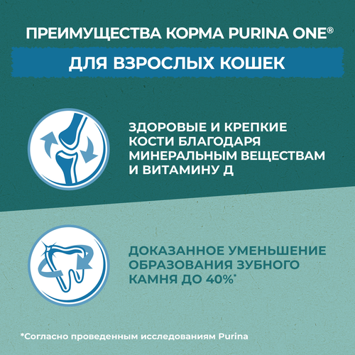 Корм сухой для взрослых кошек PURINA ONE Природа здоровья со спирулиной, с высоким содержанием индейки, 680г, детальное фото