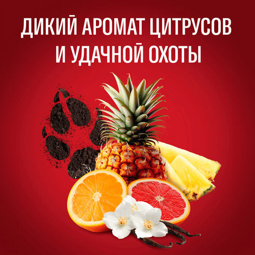 Гель для душа мужской OLD SPICE Wolfthorn, 675мл, детальное фото